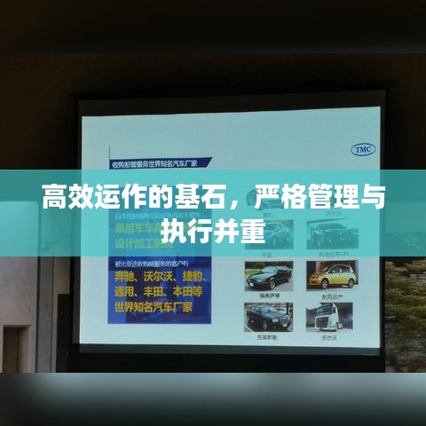 高效运作的基石，严格管理与执行并重