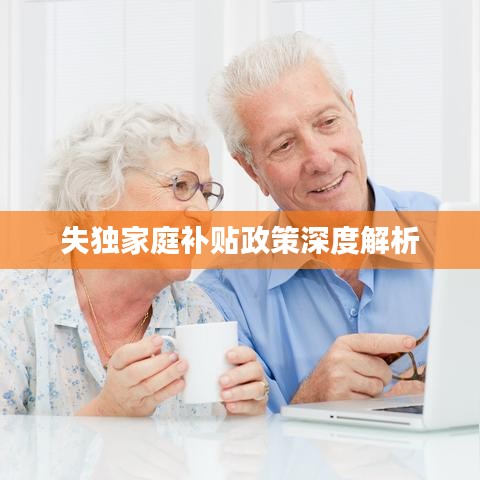 失独家庭补贴政策深度解析