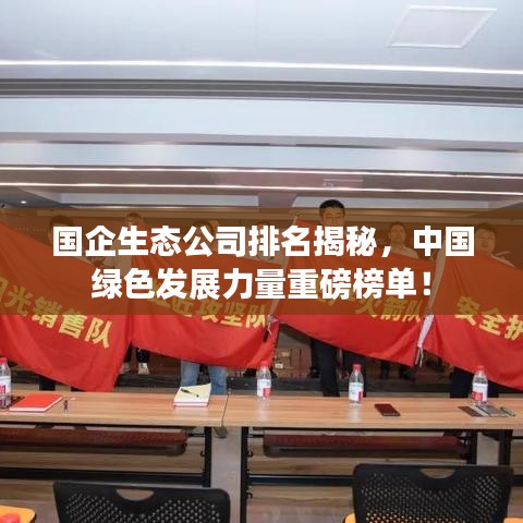 国企生态公司排名揭秘，中国绿色发展力量重磅榜单！