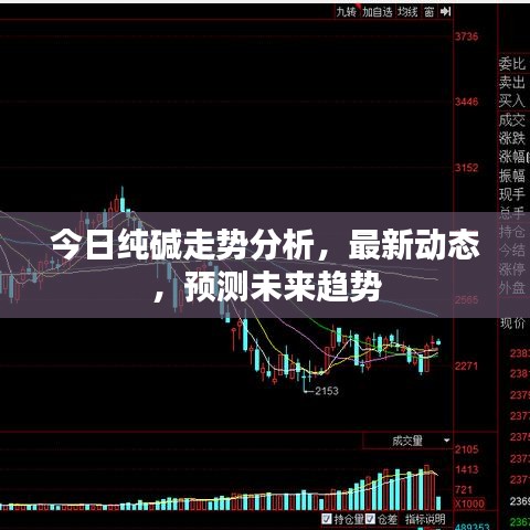 服务项目 第17页