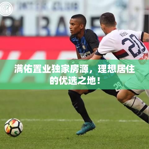 一丝不苟