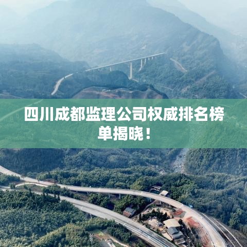 四川成都监理公司权威排名榜单揭晓！