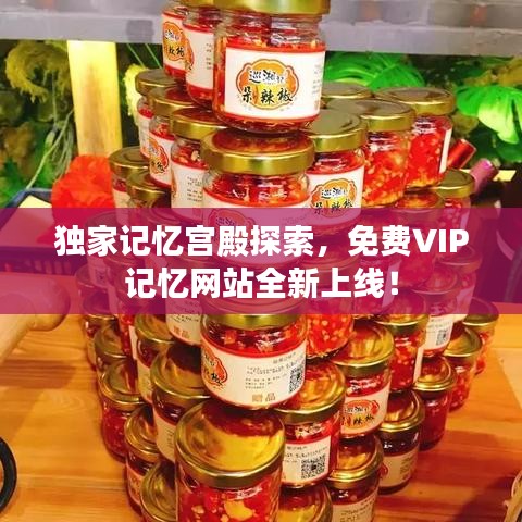 独家记忆宫殿探索，免费VIP记忆网站全新上线！