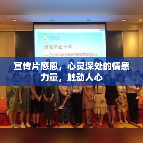 宣传片感恩，心灵深处的情感力量，触动人心