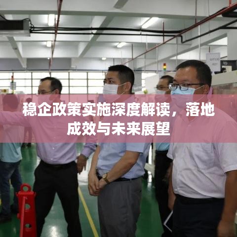 稳企政策实施深度解读，落地成效与未来展望
