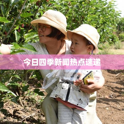 今日四季新闻热点速递