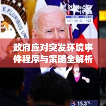 政府应对突发环境事件程序与策略全解析