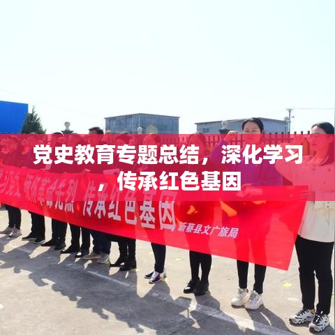 党史教育专题总结，深化学习，传承红色基因