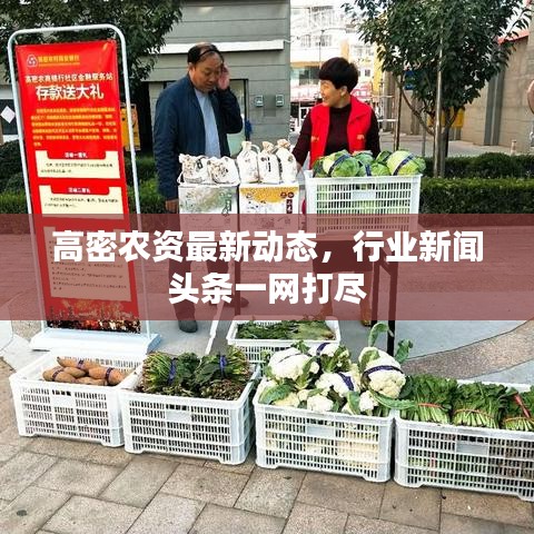 越鸟南栖