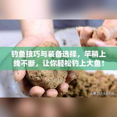 钓鱼技巧与装备选择，竿稍上线不断，让你轻松钓上大鱼！