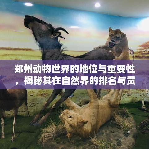 郑州动物世界的地位与重要性，揭秘其在自然界的排名与贡献