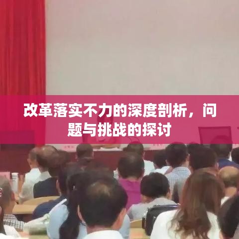 下载中心 第13页