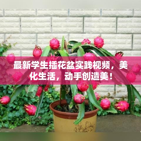 最新学生插花盆实践视频，美化生活，动手创造美！