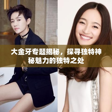 大金牙专题揭秘，探寻独特神秘魅力的独特之处