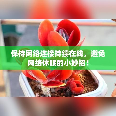 保持网络连接持续在线，避免网络休眠的小妙招！