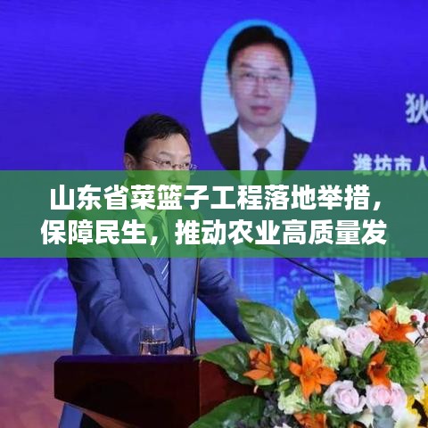山东省菜篮子工程落地举措，保障民生，推动农业高质量发展