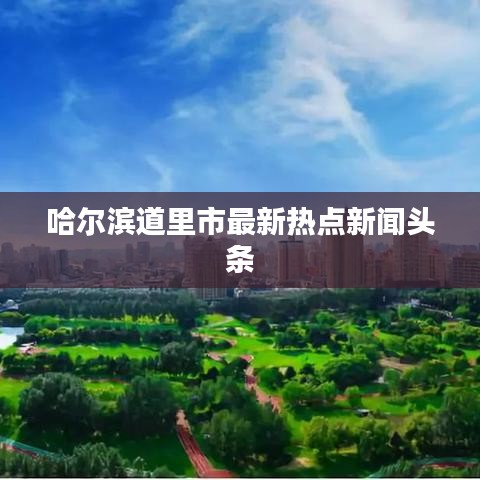哈尔滨道里市最新热点新闻头条
