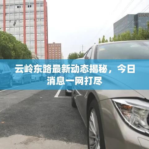 云岭东路最新动态揭秘，今日消息一网打尽