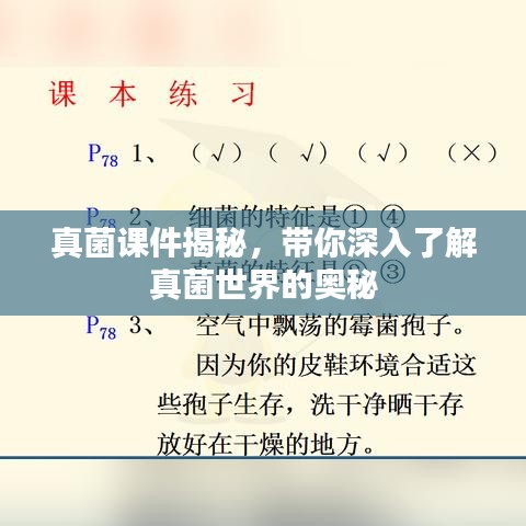 真菌课件揭秘，带你深入了解真菌世界的奥秘