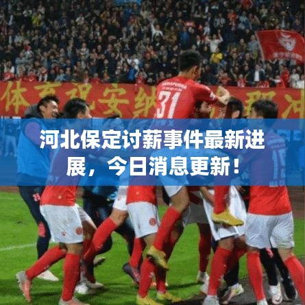 河北保定讨薪事件最新进展，今日消息更新！