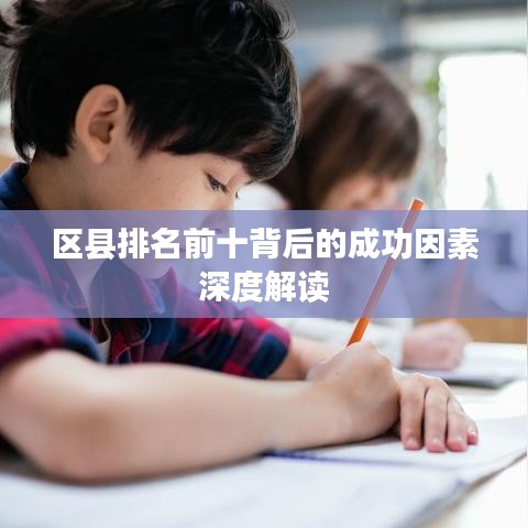 区县排名前十背后的成功因素深度解读