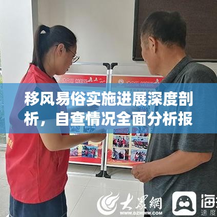 移风易俗实施进展深度剖析，自查情况全面分析报告