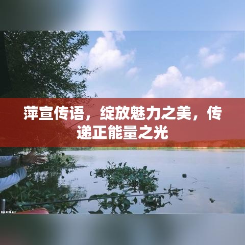 萍宣传语，绽放魅力之美，传递正能量之光