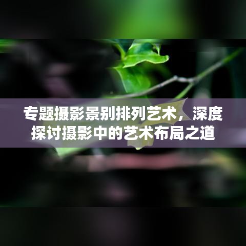 专题摄影景别排列艺术，深度探讨摄影中的艺术布局之道