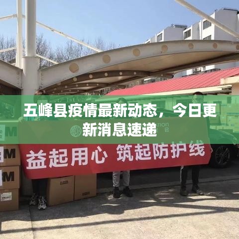 五峰县疫情最新动态，今日更新消息速递