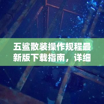 五鲨散装操作规程最新版下载指南，详细步骤与资源一网打尽