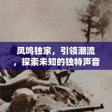 凤鸣独家，引领潮流，探索未知的独特声音
