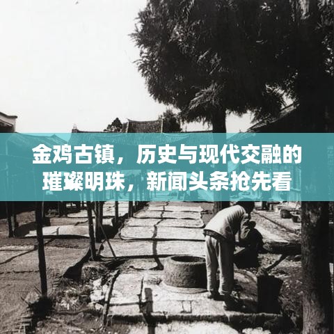 金鸡古镇，历史与现代交融的璀璨明珠，新闻头条抢先看