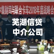 芜湖信贷中介公司排名揭秘，行业深度分析与趋势解读