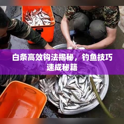 布被瓦器