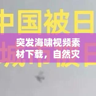 突发海啸视频素材下载，自然灾害应对的关键一环