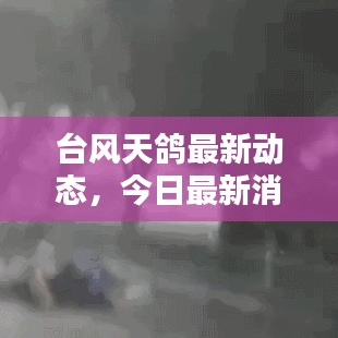 服务项目 第12页