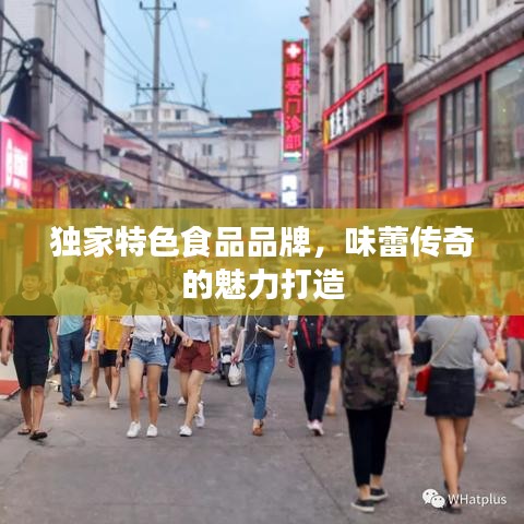 独家特色食品品牌，味蕾传奇的魅力打造