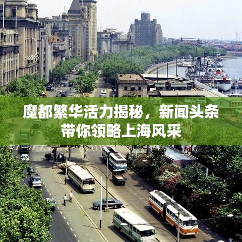 魔都繁华活力揭秘，新闻头条带你领略上海风采