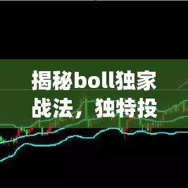 揭秘boll独家战法，独特投资策略助你投资成功！