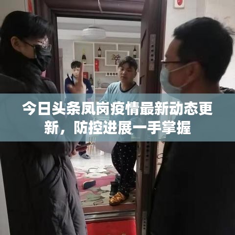 今日头条凤岗疫情最新动态更新，防控进展一手掌握