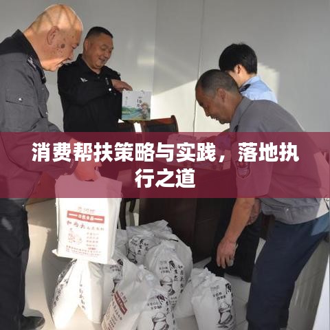 消费帮扶策略与实践，落地执行之道