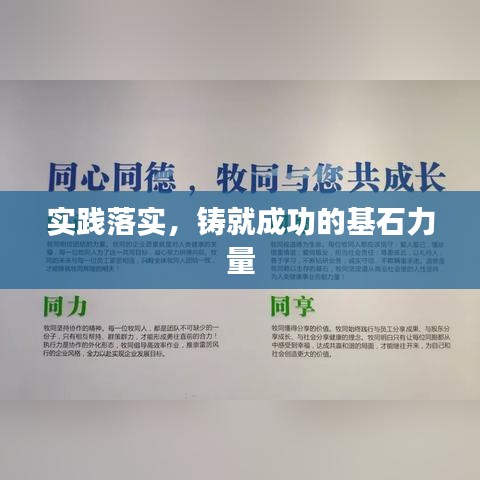 实践落实，铸就成功的基石力量