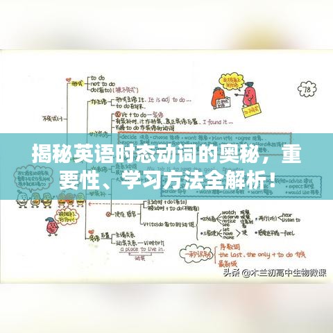 揭秘英语时态动词的奥秘，重要性、学习方法全解析！