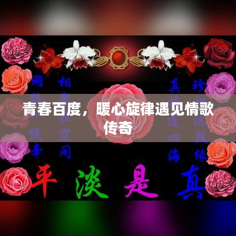 青春百度，暖心旋律遇见情歌传奇