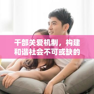 干部关爱机制，构建和谐社会不可或缺的一环
