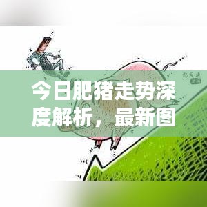 今日肥猪走势深度解析，最新图片报告出炉