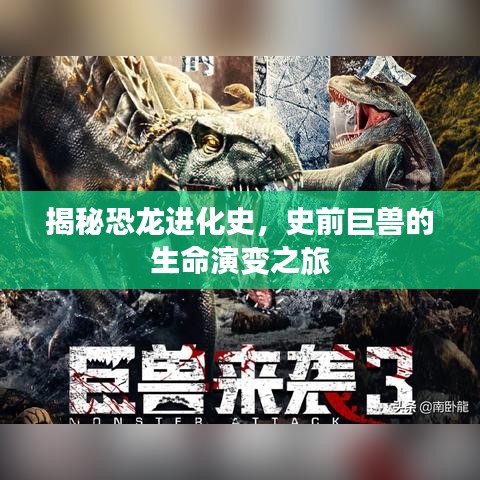 朴素无华