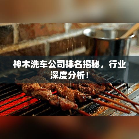 神木洗车公司排名揭秘，行业深度分析！