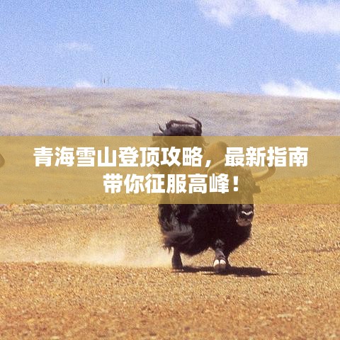 不怕一万，就怕万一