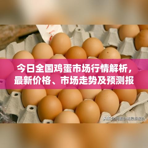 服务项目 第10页